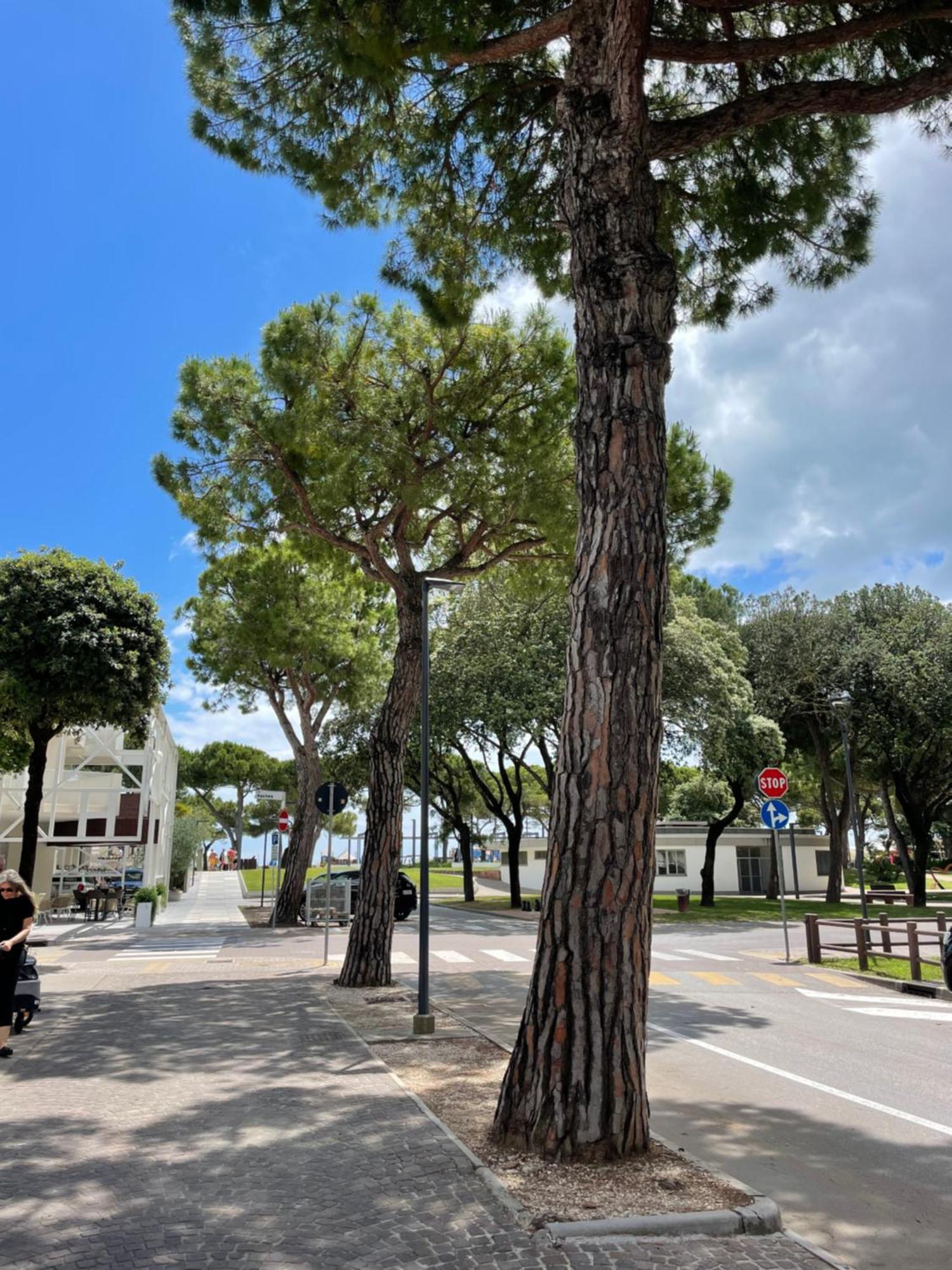 Villa Paradiso Λινιάνο Σαμπιαντόρο Εξωτερικό φωτογραφία